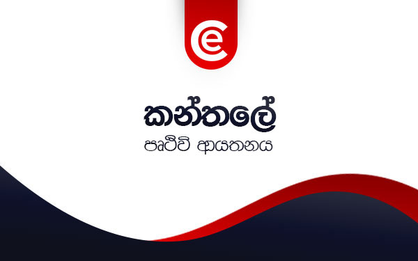 පෘථිවි ආයතනය